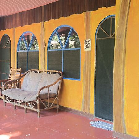 La Palapa Hut Nature Hostel Puerto Jiménez Exterior photo
