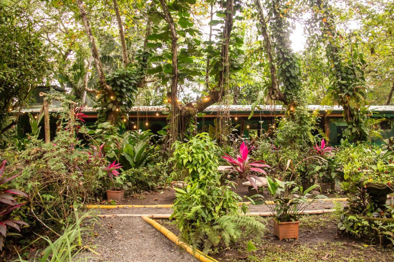 La Palapa Hut Nature Hostel Puerto Jimenez Exterior photo